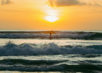 Аэропорт на Бали усиливает проверку пассажиров из-за вируса Нипах